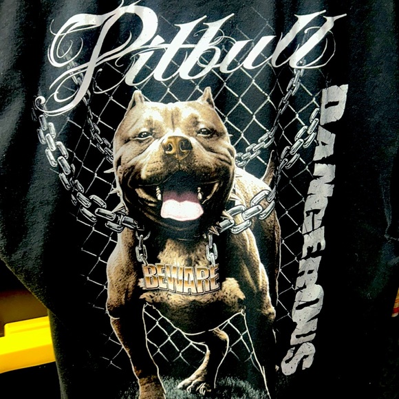 Alstyle Other - VTG: Altered Pitbull Tank Top! 2X